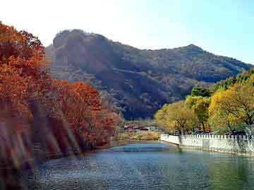 管家婆黑白马报图库，天涯邮箱